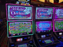 Responsible gaming tools and budget management features on Winbs